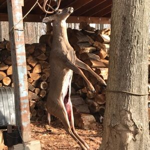 Meet your Posher, Thomas